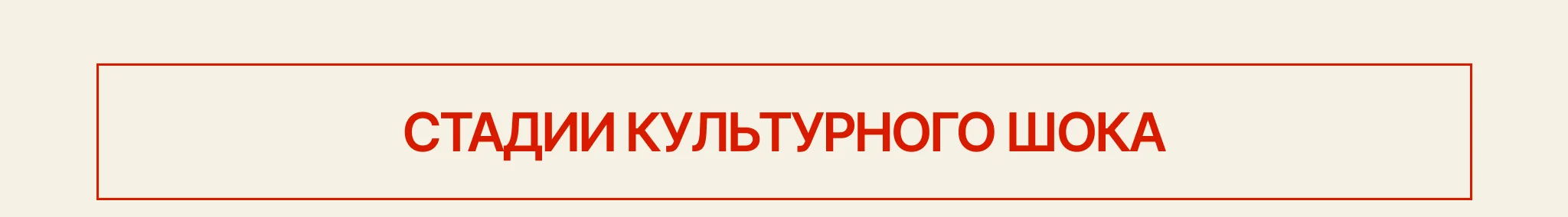Olia Bastron в Instagram: интервью о личном бренде